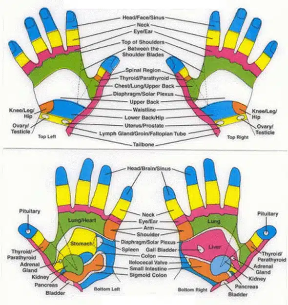 reflexoterapia palmelor masajul palmelor