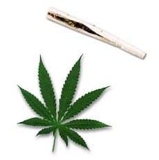 marijuana thc drog test