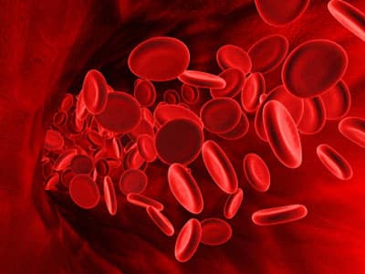 tipuri de grupe de sange