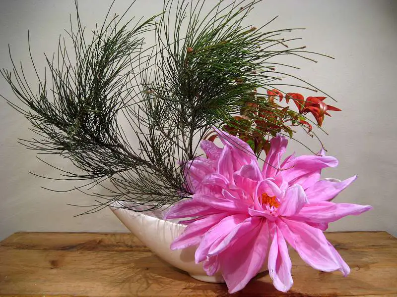 aranjament floral ikebana