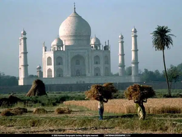 Taj-Mahal-templul-iubirii