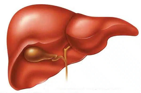 bolile hepatice ficatul