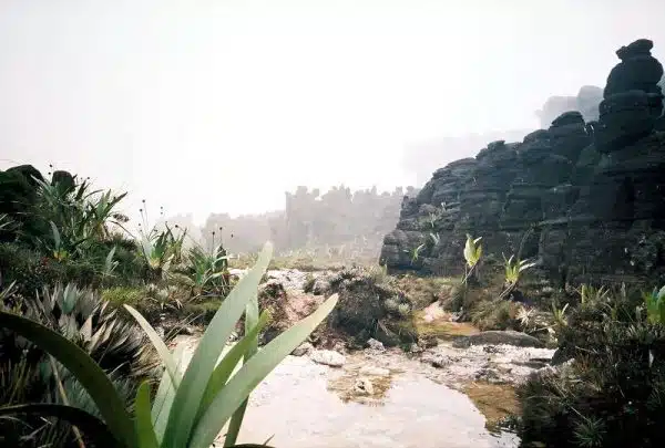 Roraima13