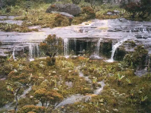 Roraima8