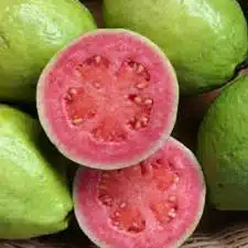 guava