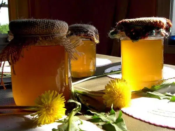 sirop de papadie preparat acasa