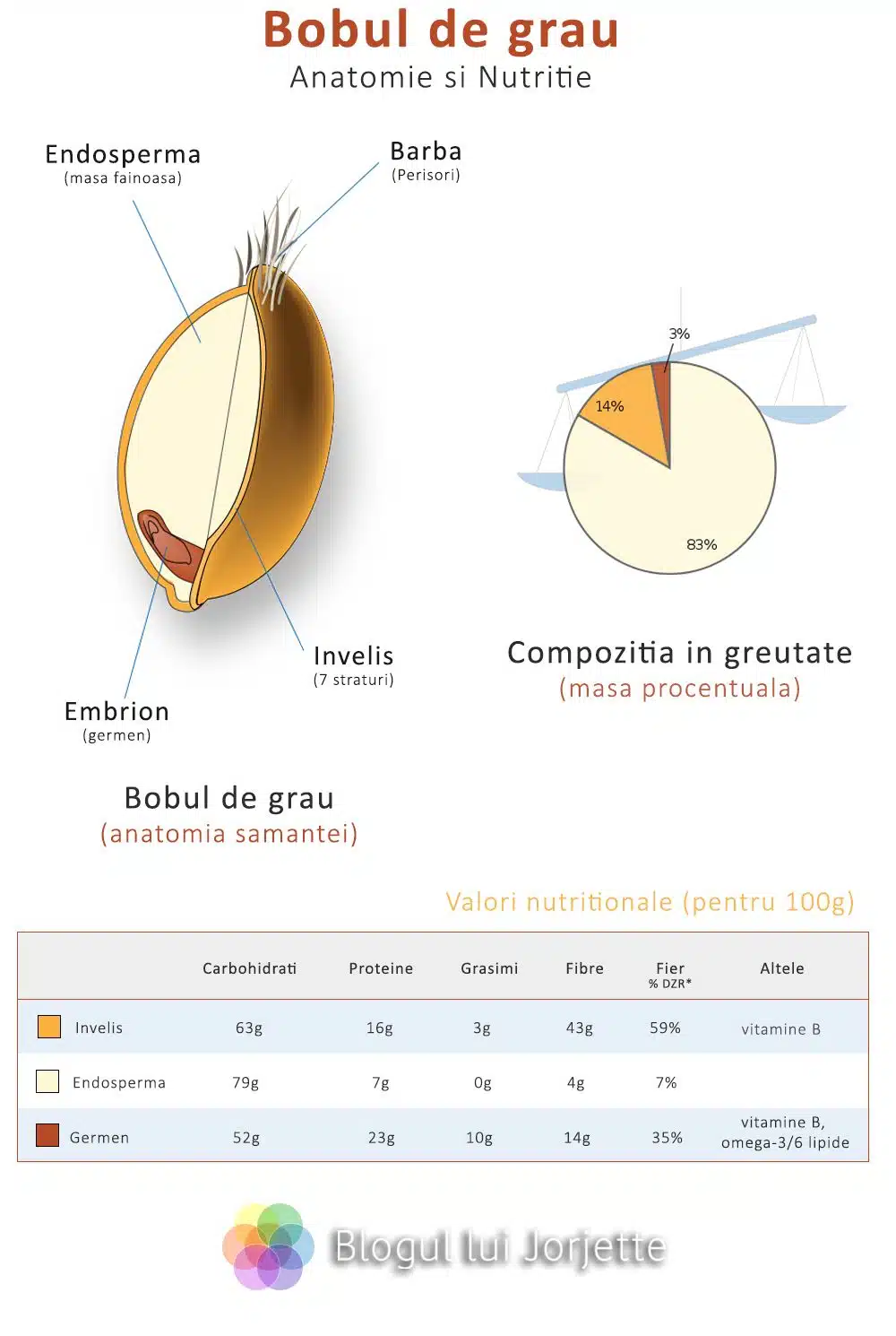 Bobul de grau din care se face grisul si faina de grau - Anatomie si valori nutritionale