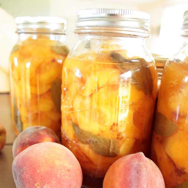 fructe conservate in miere cu busuioc