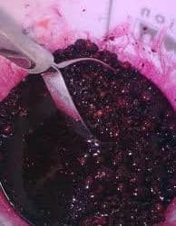 Zdrobirea fructelor pentru vin de coacaze negre.