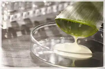 lotiune demachianta naturala gel de aloe vera