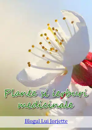 Cartea 101 Plante si Ierburi medicinale cu leac