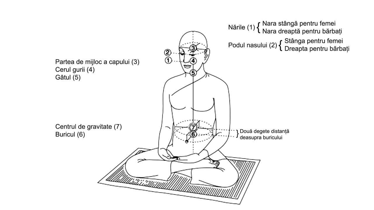 Practica taoista - Meditatia Poarta celesta