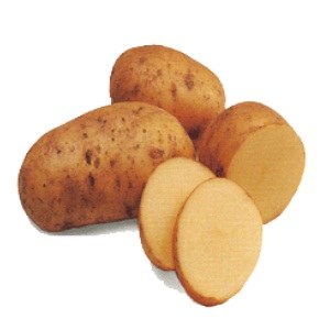 cartoful tratament insolatie