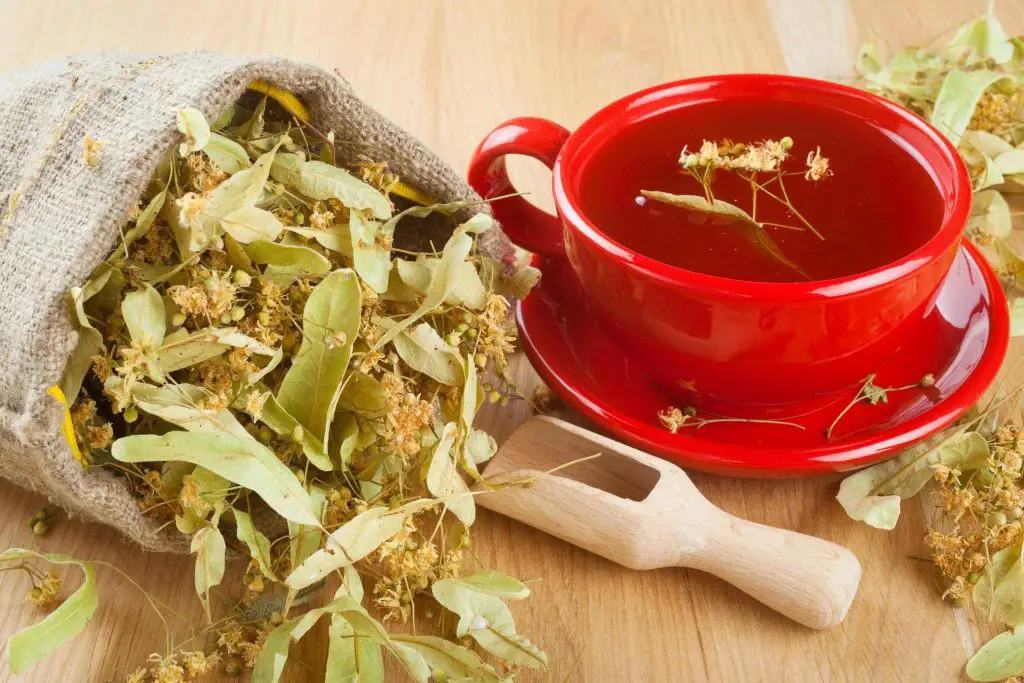 Teiul si ceaiul de tei beneficii, proprietati si contraindicatii