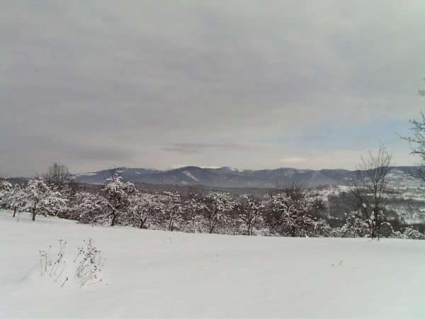 Fotografii de iarna - De la noi din sat se vede bine Dealu Mare