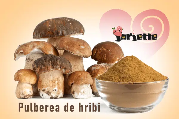 Pulberea de hribi