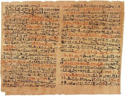 Istoria Plantelor Medicinale - Fragment din Papirus Erbes