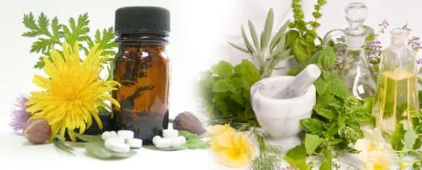 Remedii pe bază de plante medicinale pentru toate bolile