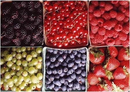 Fructe bogate in proteine importante pentru masa corporala