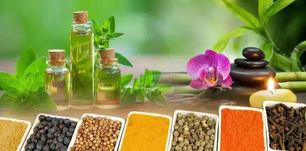 Ayurveda medicina indiana remedii ayurvedice