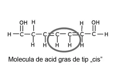 Molecula de acid gras de tip cis