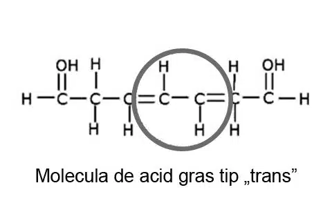 Molecula de acid gras de tip trans