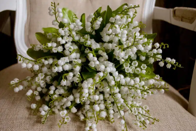 Lacramioarele buchet de flori albe