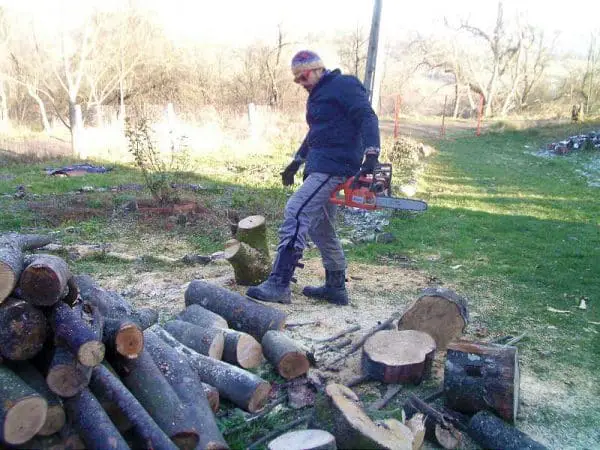 Bogdan taie lemne
