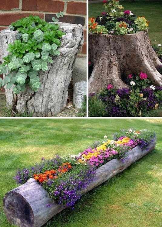DIY buturugi de lemn jardiniere pentru flori