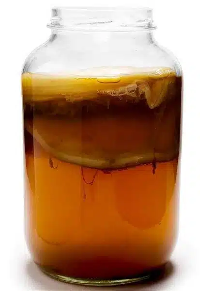 consuma ceai Kombucha