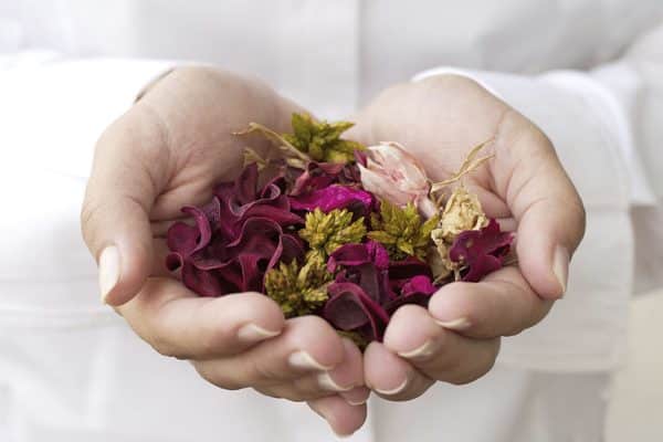 17 Plante medicinale pentru menopauză – Simptome și remedii naturiste