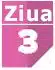 Ziua 3