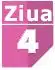 Ziua 4