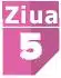 Ziua 5