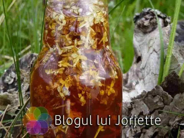 Sirop de liliac - Miere cu flori de liliac macerate