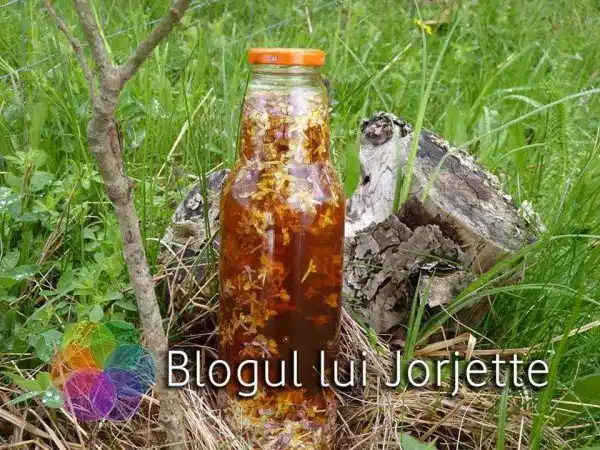 Sirop din flori de liliac cu miere de albine