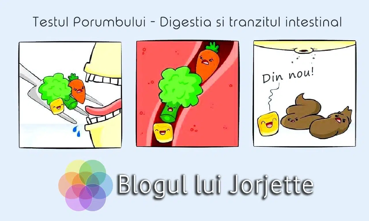 Testul Porumbului - Tranzitul intestinal si Digestia