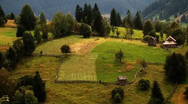 Obiective turistice in bucovina