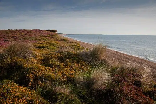 Dunwich, insula suffolk