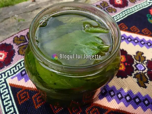 Sirop de menta preparat la rece cu miere