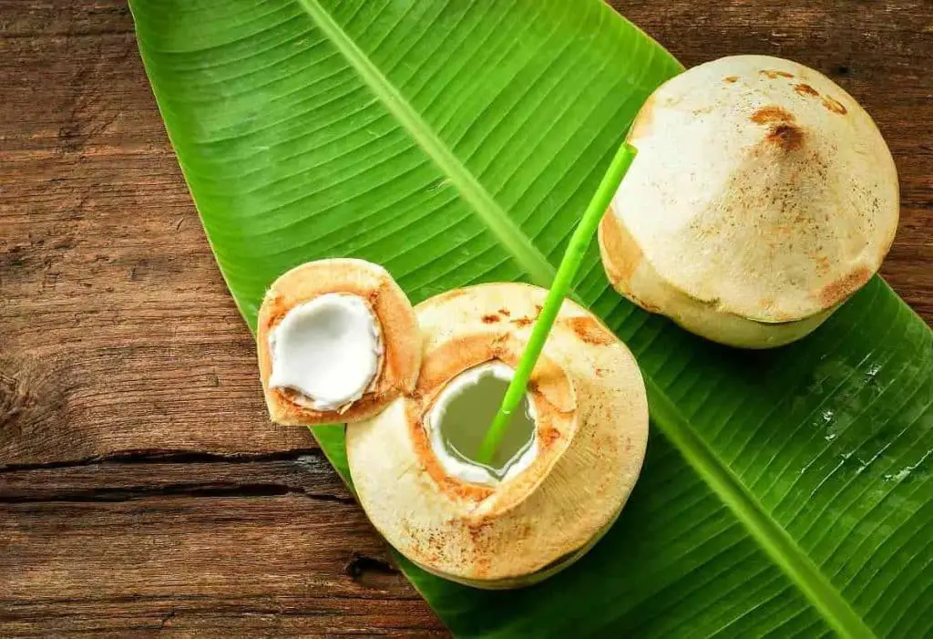Nuca de cocos verde tanara
