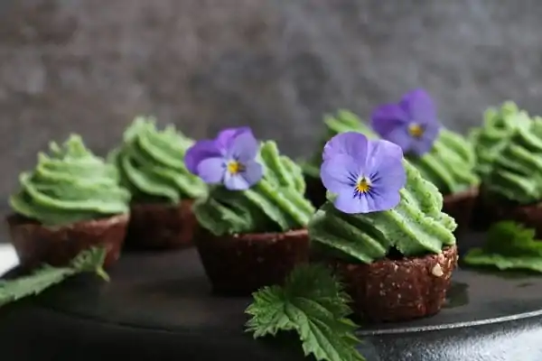 Raw cupcakes cu ciocolata si inghetata de urzici reteta vegana