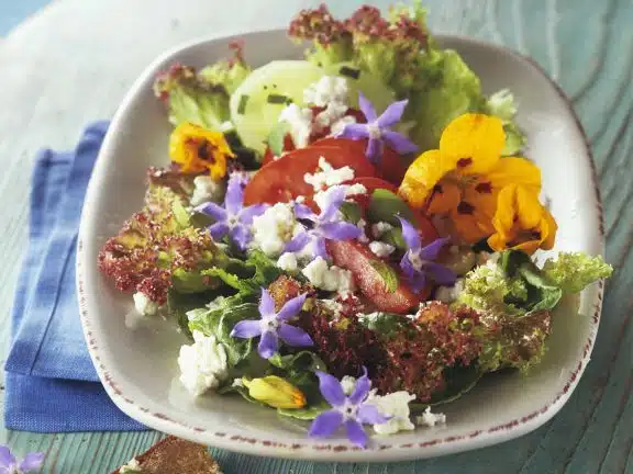 Salata cu flori de limba mielului condurasi branza feta