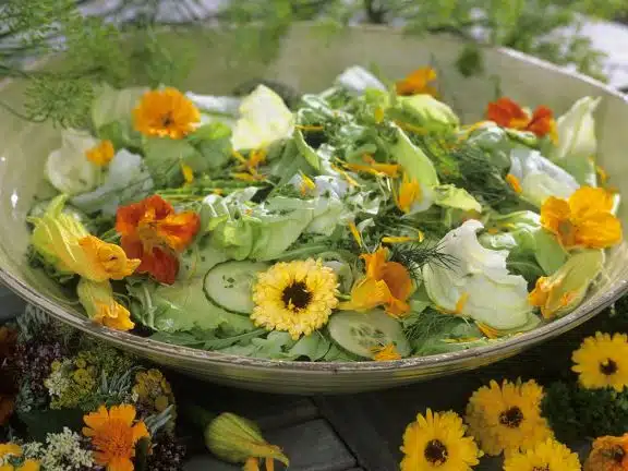 Salata de castraveti cu flori e condurasi si galbenele