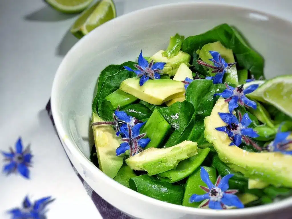 Salata de spanac cu avocado si flori de limba mielului