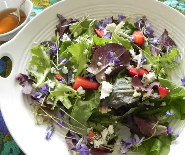 Salata verde cu toporasi capsuni si branza