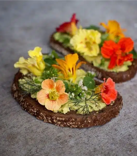 Toast cu avocado, flori si frunze de condurasi, marar si flori de oregano