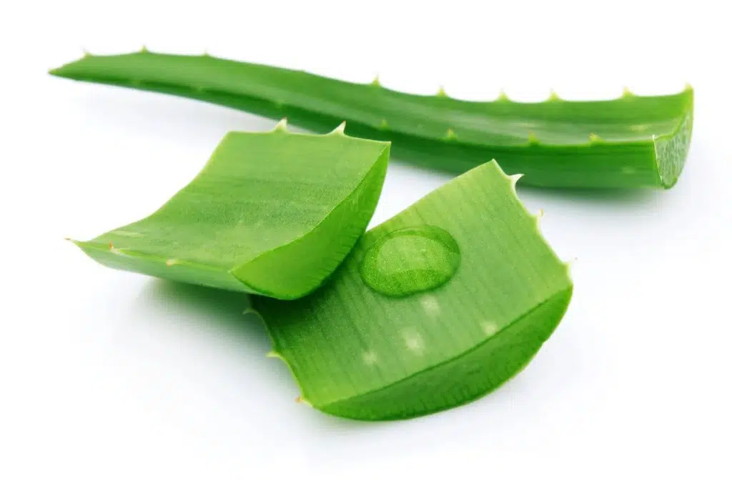 Gel de aloe vera pentru stomac lenes sau gastropareza