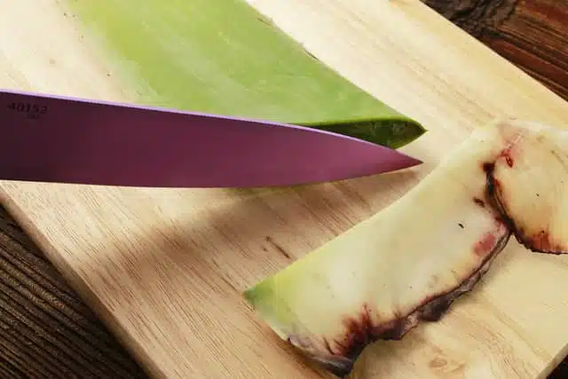 Primul pas se taie frunza de aloe vera