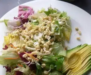 Avocado cu salata si germeni de fasole mung